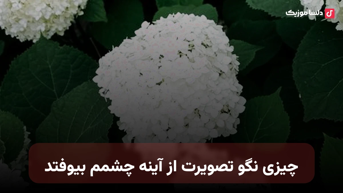 چیزی نگو تصویرت از آینه چشمم بیوفتد هوش مصنوعی